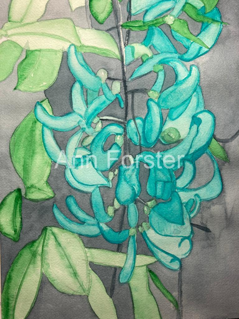 Blue Orchid