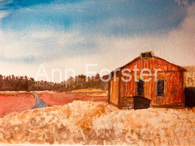 Cranberry Bog