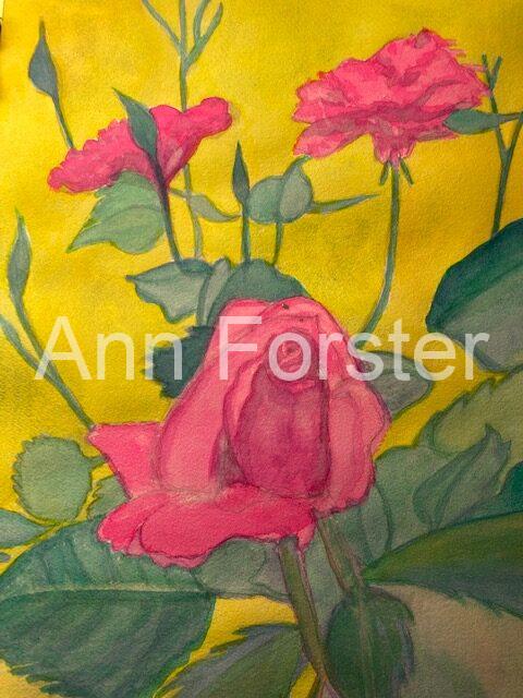 Rosebud