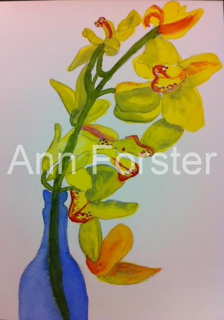 Yellow Orchid