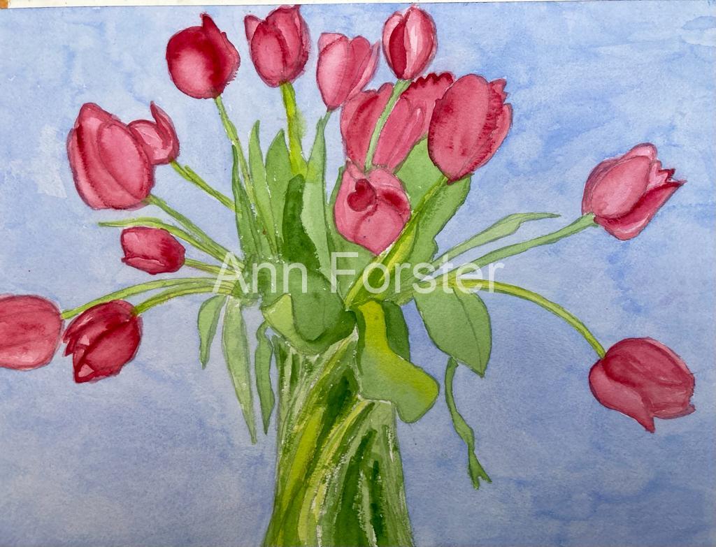 Tulips