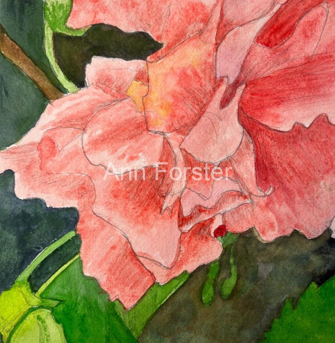 Flora