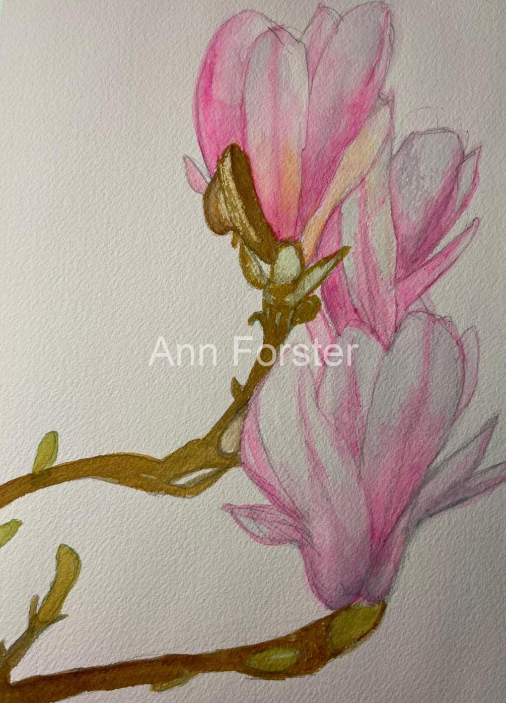 Blossoms
