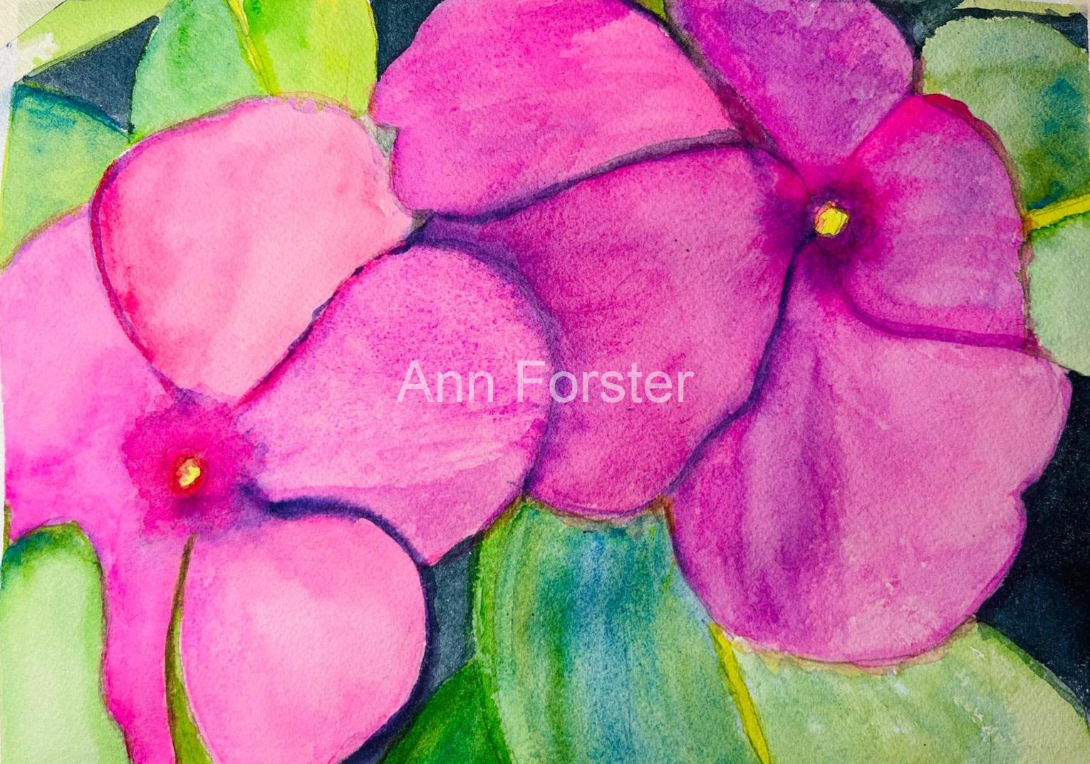 Periwinkle