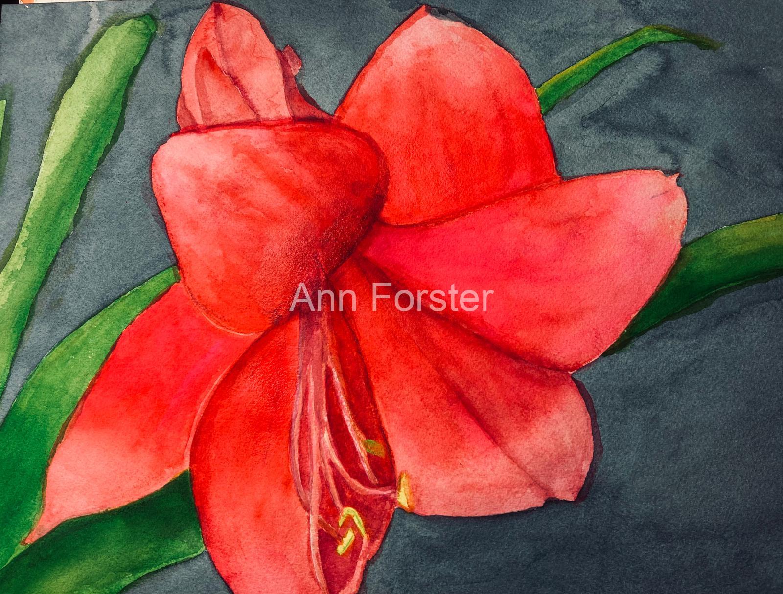 Lily