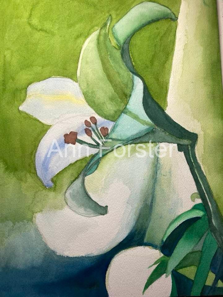 Lily